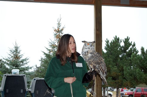 Owl from the U of M Raptor Center